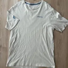 patagonia オーガニックコットン Tシャツ M