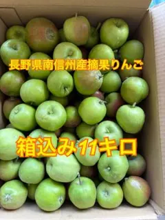 長野県南信州産 摘果りんごのサムネイル
