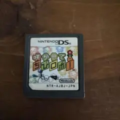 任天堂DS 咲かせてチビロボ