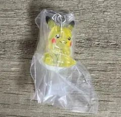 ポケモン めじるしアクセサリー2 ピカチュウ