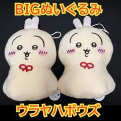 ちいかわ うさぎ　ウラヤハボウズ BIG ぬいぐるみ　3個セット