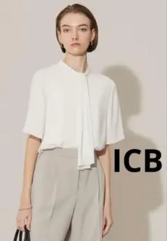 522 新品新作 ICB スパンプラチナムジョーゼット ナロータイカットソー