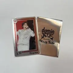 Stray Kids ライブフォト トレカ アイエン