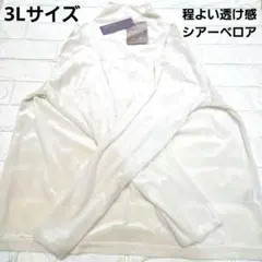 【3L】程よい透け感シアーベロア 長袖トップス ストレッチ