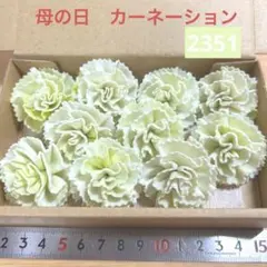 ソラフラワー　2351