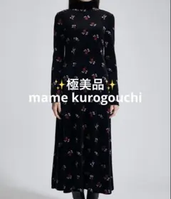 2026年最新】MAME kurogouchi ワンピース ベロアの人気アイテム - メルカリ