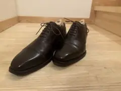 シェットランドフォックス