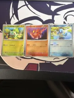 ポケモンカード 初代御三家3種セット プロモ 151ファイルセット