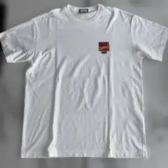 激レアXL】80sクレイジーシャツ エンドレスサマー ビンテージ Tシャツ 
