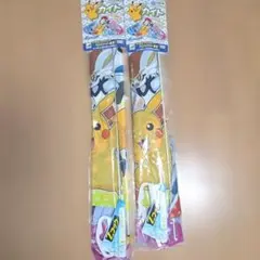 ポケットモンスター カイト タカラトミー 日本製　2セット　BIGサイズ