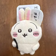 ちいかわ うさぎだらけくじ☆E賞 ぬいぐるみバッジのサムネイル
