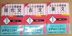 大学入試 全レベル問題集 現代文 古文 漢文1 3冊セット