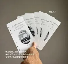 【ラス1】韓国セービング　リフィルセット 2026年最新】韓国セービングバインダーの人気アイテム - メルカリ