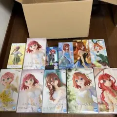 五等分の花嫁 フィギュア 12体セット