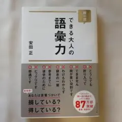 できる大人の語彙力 安田正