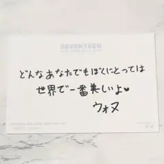 SEVENTEEN 2020 JAPAN DOME TOUR ウォヌ トレカ