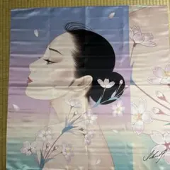 シルク風呂敷 女性イラスト 3点セット