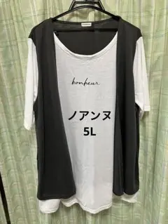 #5L 大きいサイズ　レディース　トップス　半袖T シャツ　半袖チュニック