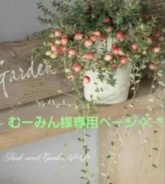 むーみん様専用ページ♬*°