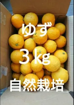 ☆ゆず 花柚子/ 農薬不使用/ 自然栽培/ 自然農法 /3kg