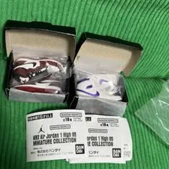 ガチャ 2種CHICAGO シカゴカラーCourt Purple コートパープル