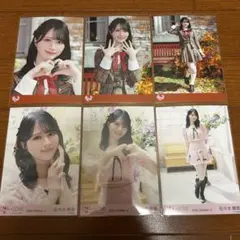 佐々木舞香 コンプ まとめ売り