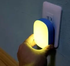 Item thumbnail for item 0ecfaac0-e96b-47cb-89c6-18d27351e5cd