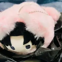 進撃の巨人　リヴァイ　はるにゃんこたぴぬい一点