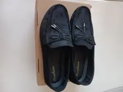 Item thumbnail for item 64e85127-a8a9-4831-ab1b-0dee93ded831