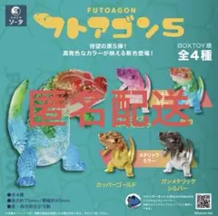 フトアゴン 5 ボックス版 コンプリート スタジオソータ