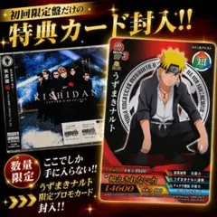 新品未開封】プロモ うずまきナルト データカードダス ナルティメット