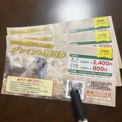 那須どうぶつ王国 プレミアム割引券 3枚セットのサムネイル