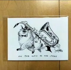 ポストカード cats orchestra 黒山キャシーラム 猫