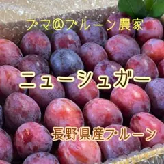 97 長野県産プルーン【ニューシュガー】 プマ@プルーン農家よりお届けのサムネイル