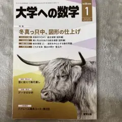 大学への数学 2009年11月号 整数を制する 東京出版 - メルカリ