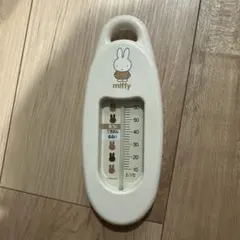 Item thumbnail for item e8d5c5e8-22b9-4948-971d-e932f7ab72ce