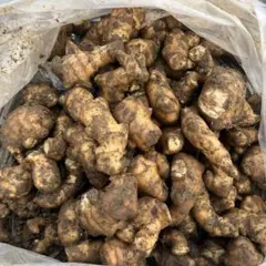 2026年最新】土付き 生姜 約10kgの人気アイテム - メルカリ