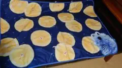 パペットスンスン ブランケット　ブランケット