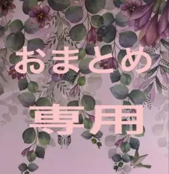 papapa様 リクエスト 2点 まとめ商品