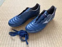 ガチンコ ファイトクラブ 2期生 斉藤一平のMizuno ボクシングシューズ