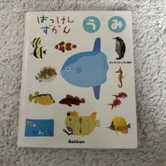 Item thumbnail for item a331398d-3793-49fa-831f-f08bdc890975