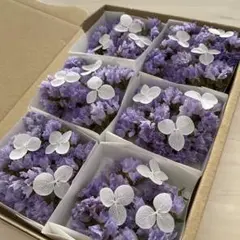 花材　スターチスドライフラワー
