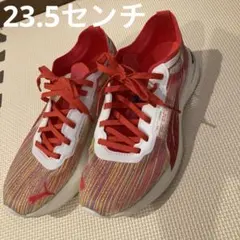 Item thumbnail for item 585adab8-b214-40d5-8623-52597e28a162