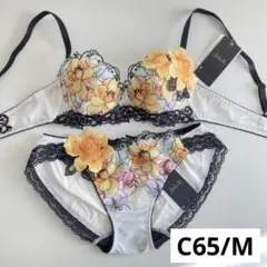 サルート　チリ　C65/M　IV　63　P-upブラ　ノーマルショーツ