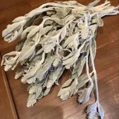 専用＊ラムズイヤー&ライムボール ドライフラワースワッグ - メルカリ