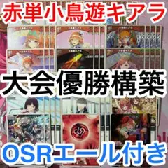 ロゼ AQUAPLUS アクアプラス OFR16種+SR84種 4コン - メルカリ