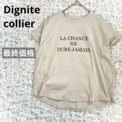 【美品】ディニテコリエ ルーミーフレンチスリーブ　レタード　Tシャツ ロゴのサムネイル