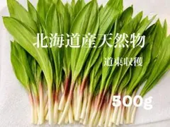 及*隆様 行者ニンニク　アイヌネギ　北海道産 道東　天然物 500gのサムネイル