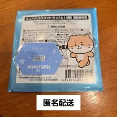 セブチ SEVENTEEN ミニティーンカフェ アクリルスタンド ディノ