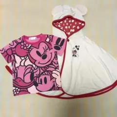 東京ディズニーリゾート ミッキー・ミニー セット 80